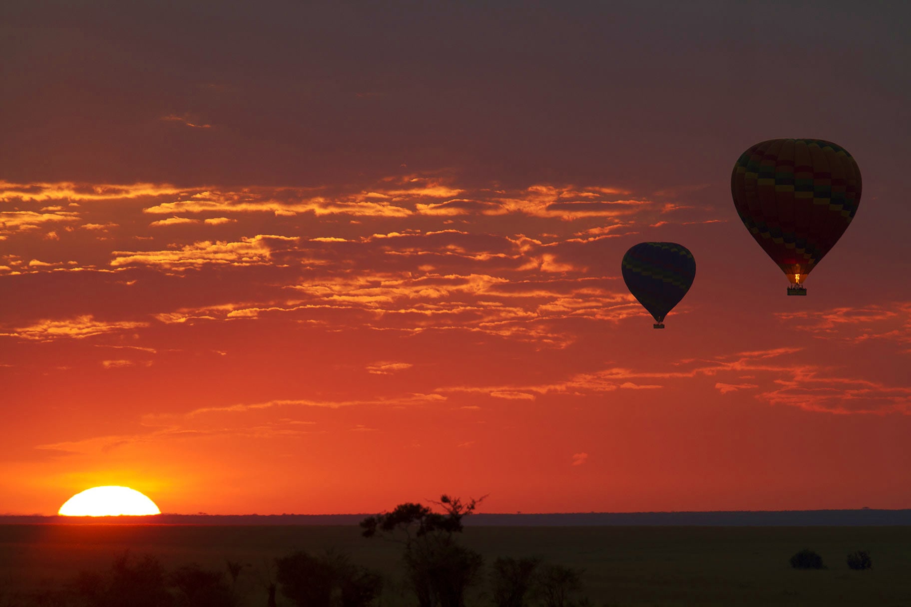 Two hot air balloons floating above African savanna landscape during golden sunset with sun on horizon